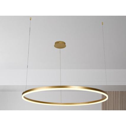 LED Dimmable chandelier on a string LED/72W/230V 3000-6500K + remote control