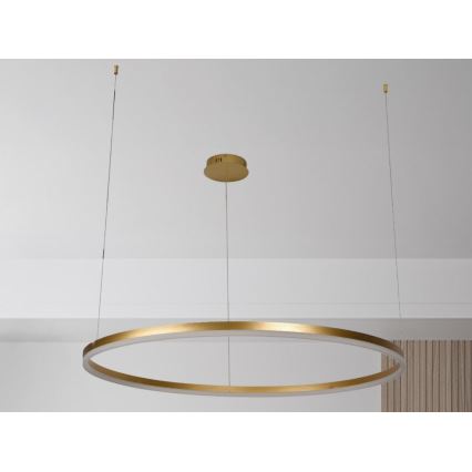 LED Dimmable chandelier on a string LED/72W/230V 3000-6500K + remote control