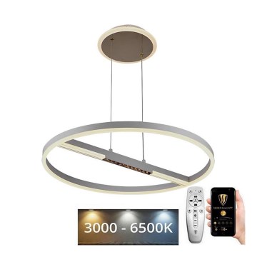 LED Dimmable chandelier on a string LED/75W/230V 3000-6500K d. 60 cm + remote control