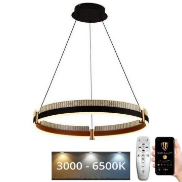 LED Dimmable chandelier on a string LED/80W/230V 3000-6500K d. 60 cm + remote control