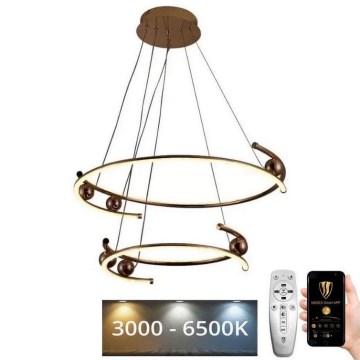 LED Dimmable chandelier on a string LED/80W/230V 3000-6500K d. 60 cm + remote control