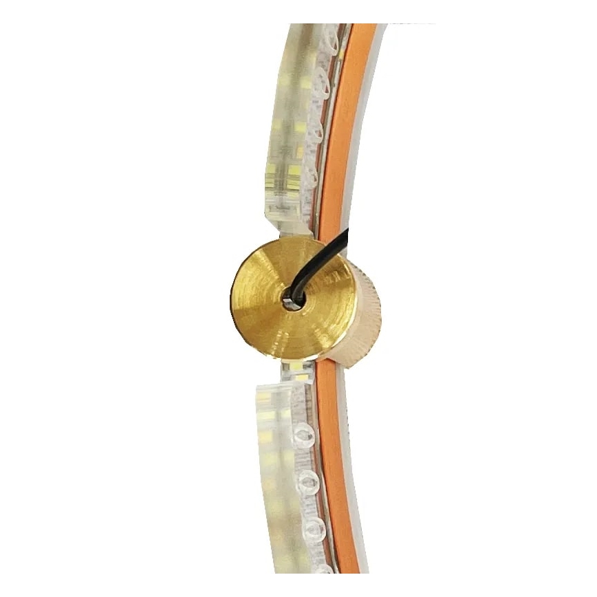 LED Dimmable chandelier on a string LED/80W/230V 3000-6500K d. 60 cm + remote control