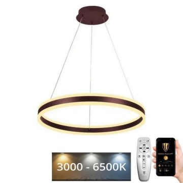 LED Dimmable chandelier on a string LED/85W/230V 3000-6500K d. 60 cm + remote control