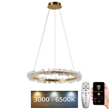 LED Dimmable crystal chandelier on a string LED/40W/230V 3000-6500K gold + remote control