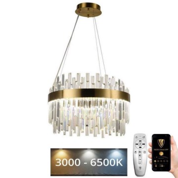 LED Dimmable crystal chandelier on a string LED/70W/230V 3000-6500K gold + remote control