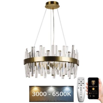 LED Dimmable crystal chandelier on a string LED/80W/230V 3000-6500K gold + remote control