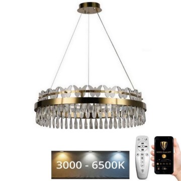 LED Dimmable crystal chandelier on a string LED/80W/230V 3000-6500K gold + remote control