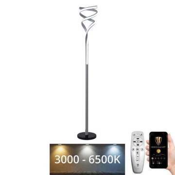 LED Dimmable floor lamp LED/50W/230V 3000-6500K grey + remote control