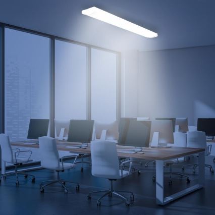 LED Dimmable fluorescent light LED/35W/44W/52W/60W/230V 4000K 120 cm