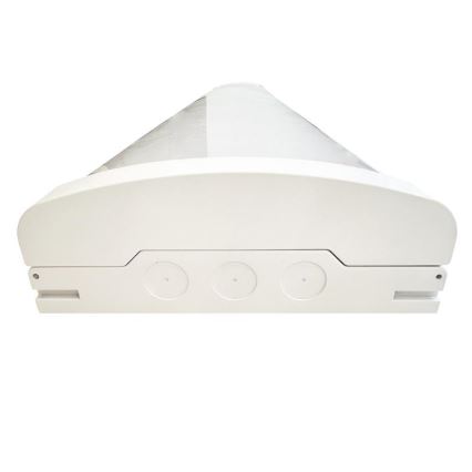 LED Dimmable fluorescent light LED/35W/44W/52W/60W/230V 4000K 120 cm