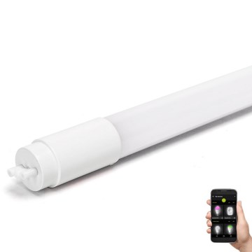 LED Dimmable fluorescent tube MESH Smart T8/10W/230V 6500K 60 cm - Aigostar