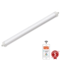 LED Dimmable heavy-duty light LED/40W/230V 3000-6500K Wi-Fi Tuya IP65