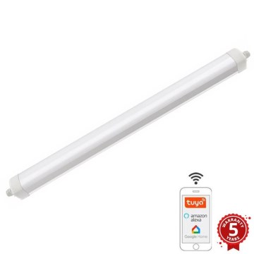 LED Dimmable heavy-duty light LED/40W/230V 3000-6500K Wi-Fi Tuya IP65