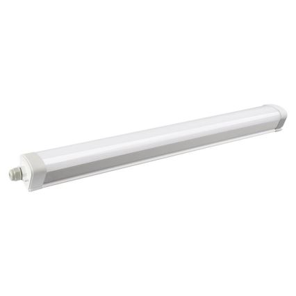 LED Dimmable heavy-duty light LED/40W/230V 3000-6500K Wi-Fi Tuya IP65