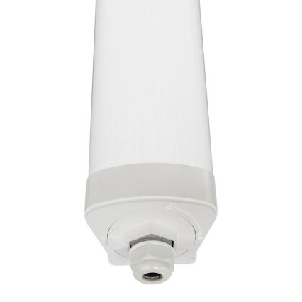 LED Dimmable heavy-duty light LED/40W/230V 3000-6500K Wi-Fi Tuya IP65