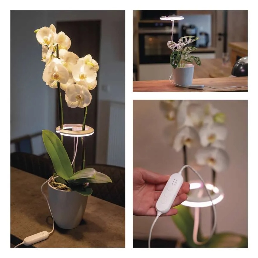 LED Dimmable Indoor Plant Grow Lamp GROW LED/8W/5V