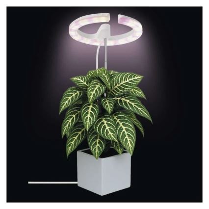 LED Dimmable Indoor Plant Grow Lamp GROW LED/8W/5V
