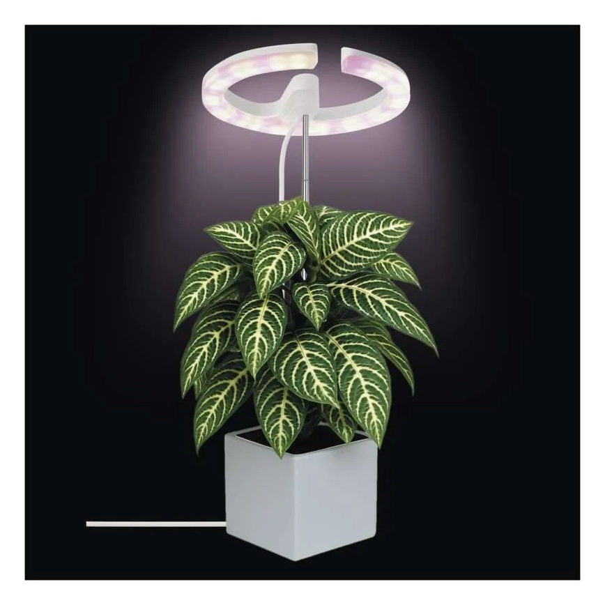 LED Dimmable Indoor Plant Grow Lamp GROW LED/8W/5V