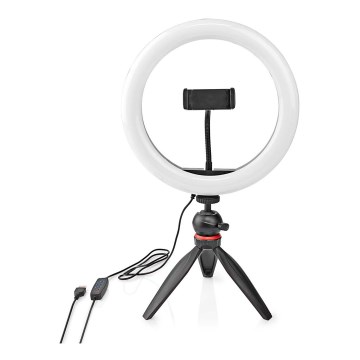 LED Dimmable lamp on a tripod with a holder for vlogging LED/6W/USB 2700-6700K