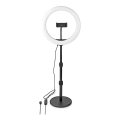LED Dimmable lamp with a stand and holder for vlogging LED/6W/USB 2700-6700K