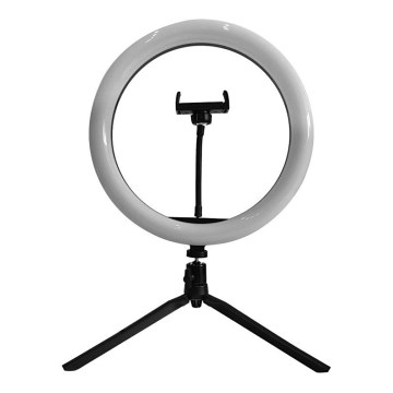 LED Dimmable lamp with tripod and holder for vlogging LED/10W/5V 3200-5500K