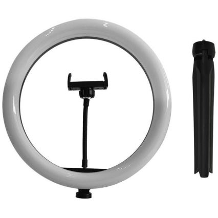 LED Dimmable lamp with tripod and holder for vlogging LED/10W/5V 3200-5500K