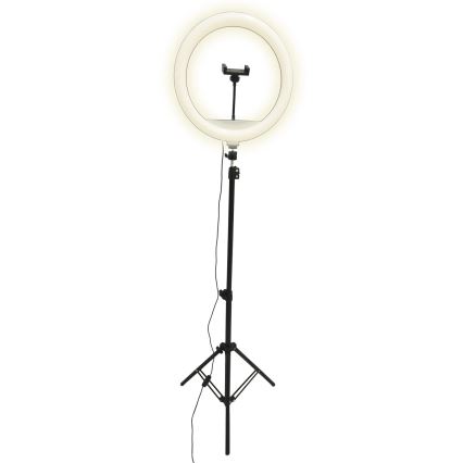 LED Dimmable lamp with tripod and holder for vlogging LED/15W/5V 2700-6500K