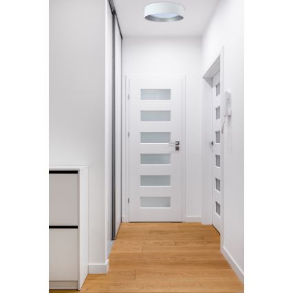 LED Dimmable ceiling light SMART GALAXY LED/24W/230V d. 45 cm 2700-6500K Wi-Fi Tuya white/silver + remote control
