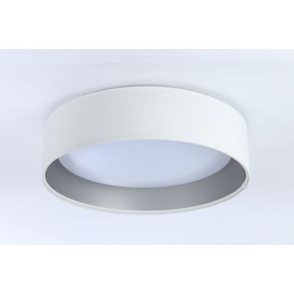 LED Dimmable ceiling light SMART GALAXY LED/24W/230V d. 45 cm 2700-6500K Wi-Fi Tuya white/silver + remote control
