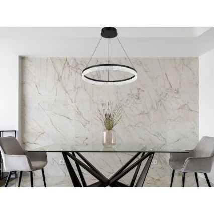 ALIANZ Dimmable LED Cable Pendant Light LED/60W/230V 3000–6000K Ø 80 cm + Remote Control