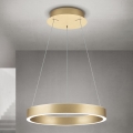 LED Dimmable pendant light on cable KOLK LED/40W/230V 2700/3000/4000K Ø 40 cm Gold