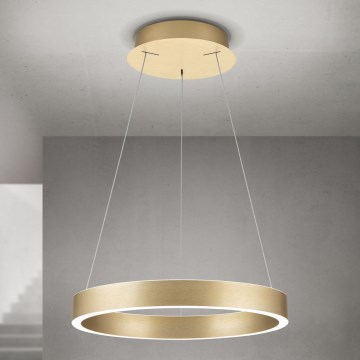 LED Dimmable pendant light on cable KOLK LED/40W/230V 2700/3000/4000K Ø 40 cm Gold