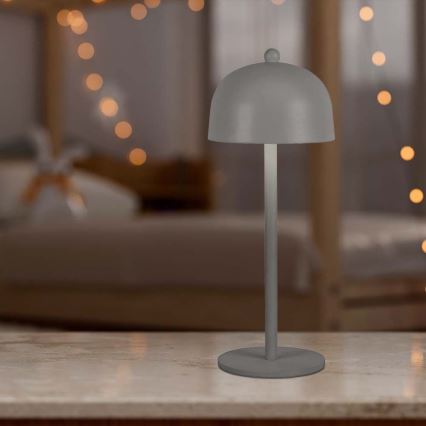 LED Dimmable rechargeable touch table lamp LED/1W/5V 3000-6000K 1800 mAh grey