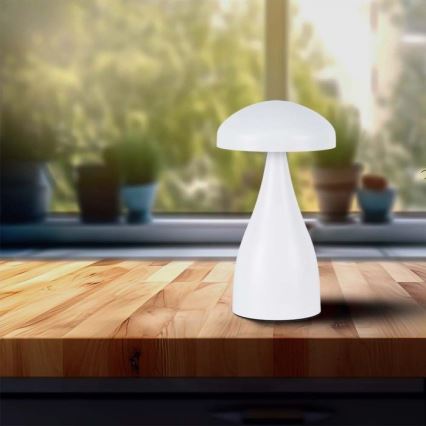 LED Dimmable rechargeable touch table lamp LED/1W/5V 3000-6000K 1800 mAh white