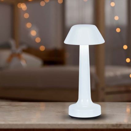 LED Dimmable rechargeable touch table lamp LED/1W/5V 3000-6000K 1800 mAh white