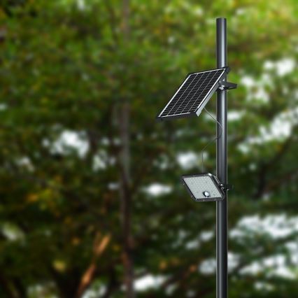 LED Dimmable solar floodlight with sensor LED/10W/3,7V 4000/6000K IP65 + remote control