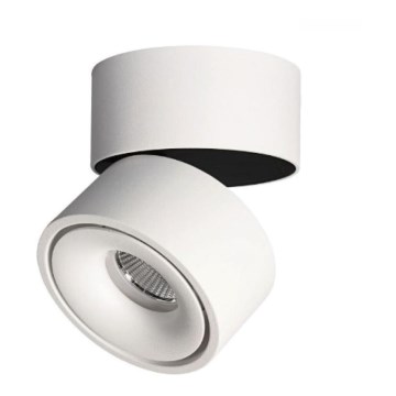 LED Dimmable spotlight LAHTI LED/10,5W/230V 3000K CRI 90 white