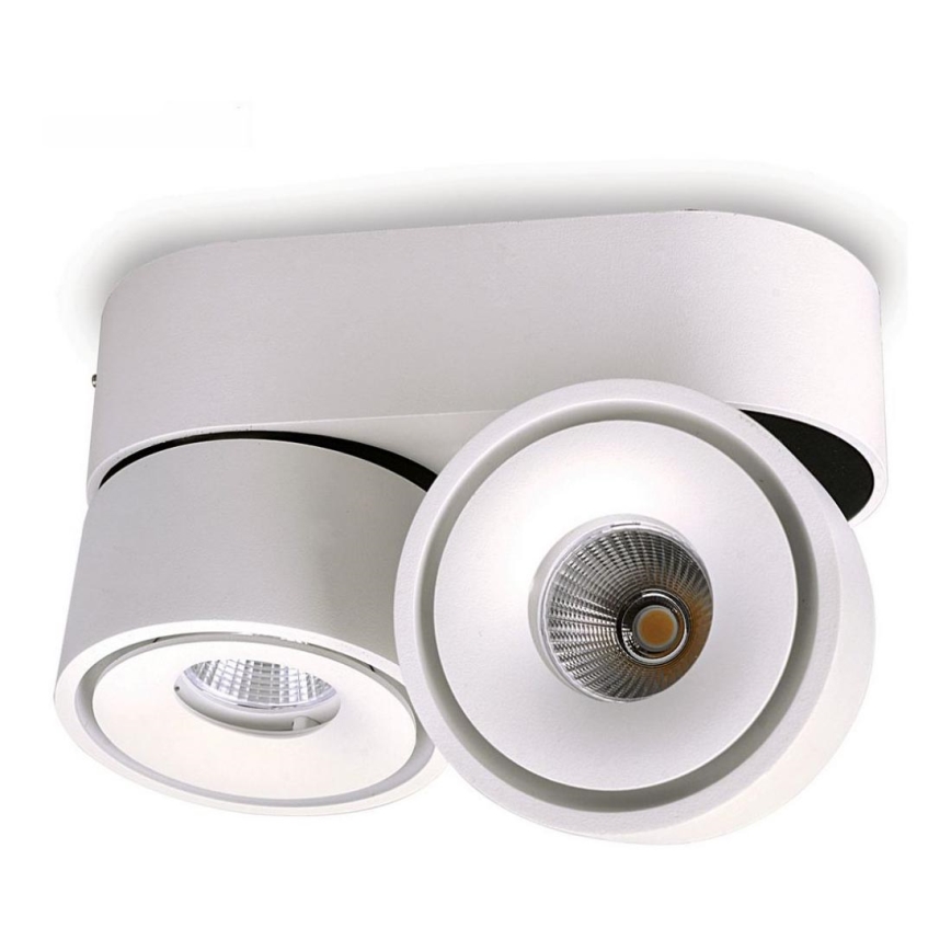 LED Dimmable spotlight LAHTI MINI 2xLED/9W/230V 3000K CRI 90 white