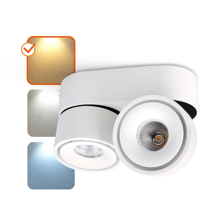LED Dimmable spotlight LAHTI MINI 2xLED/9W/230V 3000K CRI 90 white