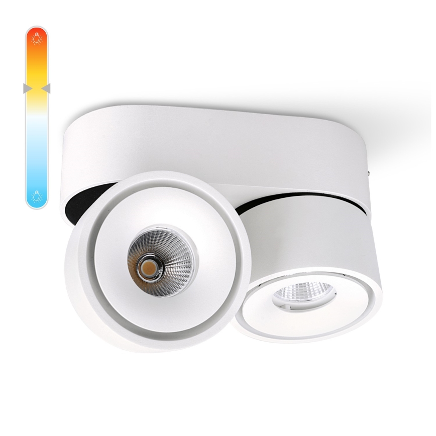 LED Dimmable spotlight LAHTI MINI 2xLED/9W/230V 3000K CRI 90 white