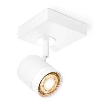LED Dimmable spotlight MANU 1xGU10/5,8W/230V white