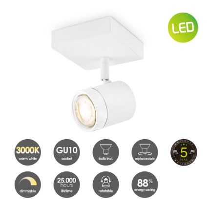 LED Dimmable spotlight MANU 1xGU10/5,8W/230V white