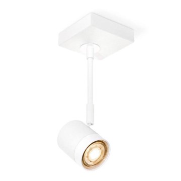 LED Dimmable spotlight MANU 1xGU10/5,8W/230V white