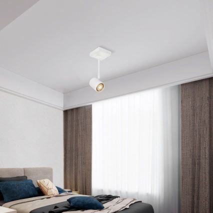 LED Dimmable spotlight MANU 1xGU10/5,8W/230V white