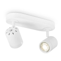 LED Dimmable spotlight MANU 2xGU10/5,8W/230V white