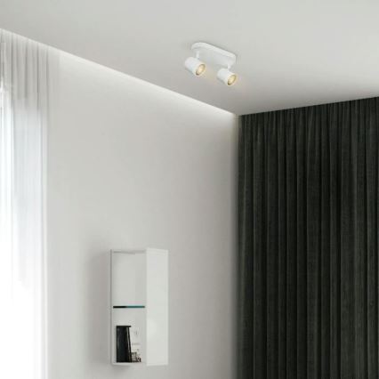 LED Dimmable spotlight MANU 2xGU10/5,8W/230V white