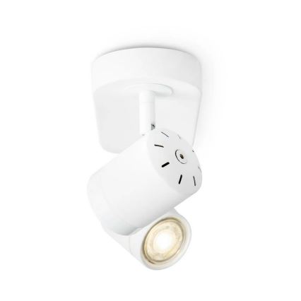 LED Dimmable spotlight MANU 2xGU10/5,8W/230V white