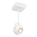 LED Dimmable spotlight NOP 1xGU10/5,8W/230V white