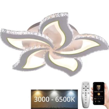 LED Dimmable surface-mounted chandelier LED/100W/230V 3000-6500K + remote control