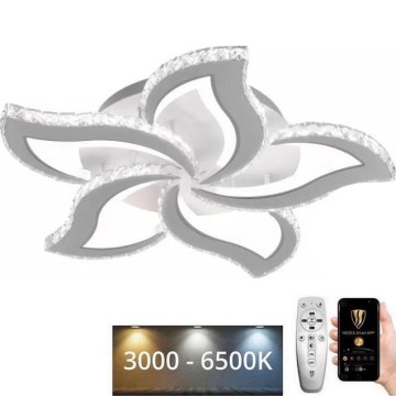 LED Dimmable surface-mounted chandelier LED/100W/230V 3000-6500K + remote control